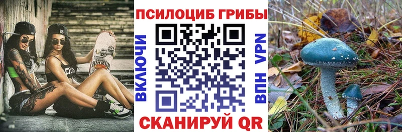 Галлюциногенные грибы Psilocybe  Купить закладки  Луховицы 